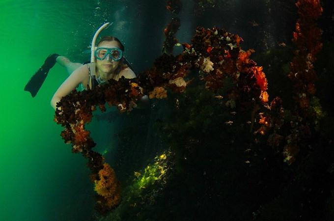 During a fall 2021 study excursion to Palau, 21岁的维克拉·亨格斯特(Vickira Hengst)和她的学生同事完成了一项长期项目，对密克罗尼西亚500个岛屿国家的所有72个海洋湖泊进行了调查.
